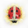 Picture of Ladybug on Bloom Trinket Box with Matching Necklace