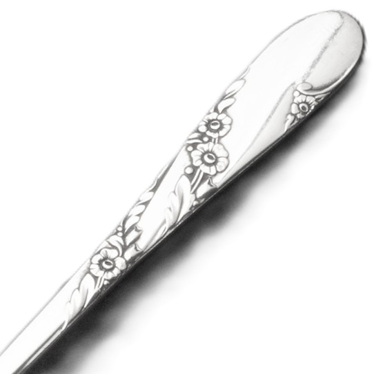 Picture for category Bridal Wreath