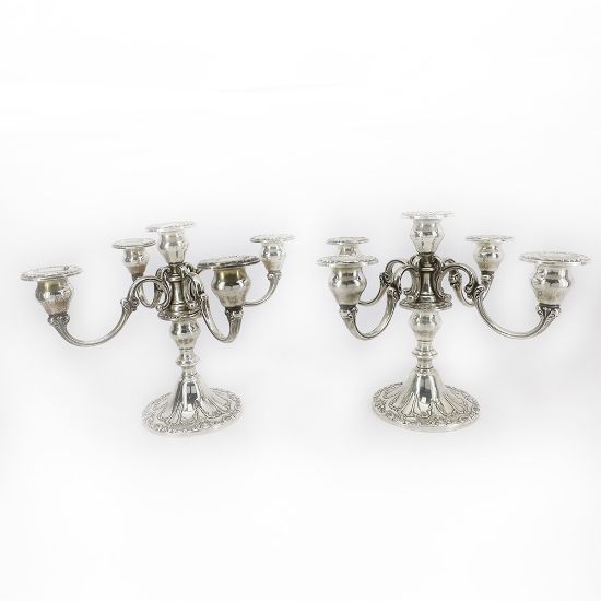 Picture of 5 Light Candelabra Pair,  Low Footed
