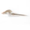Picture of Komsco Angel Sword of St. Gabriel 2.5oz Rose Gilded Silver Coin