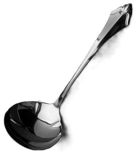 Picture of New Gravy Ladle