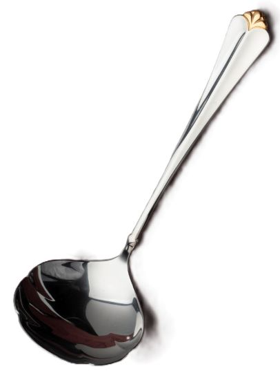 Picture of New Gravy Ladle