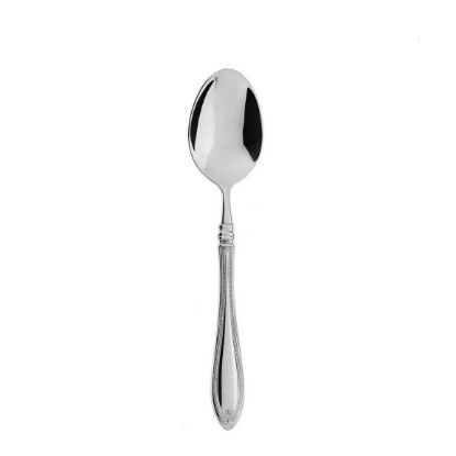 Picture of New Place Spoon