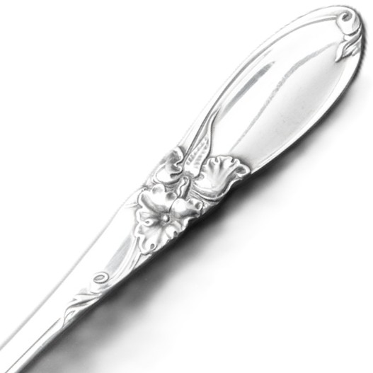 Picture for category White Orchid