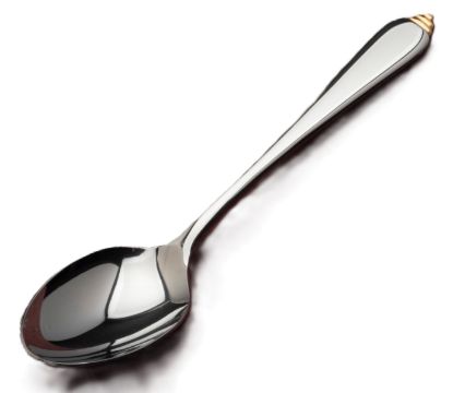Picture of New Place Spoon