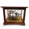 Picture of Taxidermy Twin Ducks Flying in Wooden/Glass Display Case