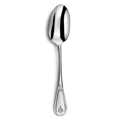 Picture of New Serving Spoon