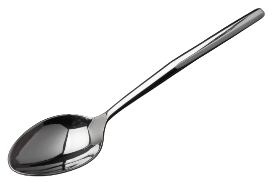 Picture of New Place Spoon