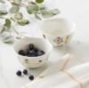 Picture of New Dessert Bowl