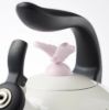 Picture of New Tea Kettle
