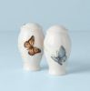 Picture of New Salt & Pepper Shaker Set