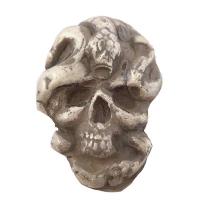 Picture of Skull And Snake