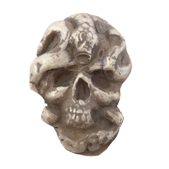 Picture of Skull And Snake