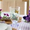 Picture of New Set of 4 Tall Tumblers