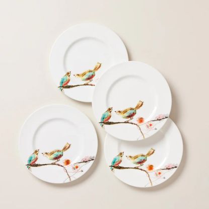 Picture of New Set of 4 Salad/Lunch Plates