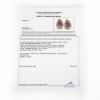 Picture of 18k Yellow Gold Pear Rubellite Tourmaline & Diamond Halo Stud Earrings