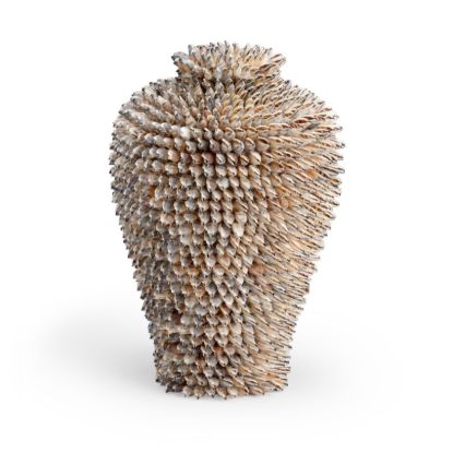 Picture of Strombus Shell Vase