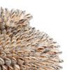 Picture of Strombus Shell Vase