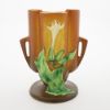 Picture of Brown Thornapple Vase