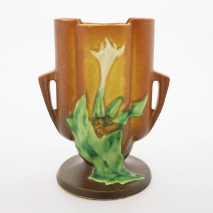Picture of Brown Thornapple Vase