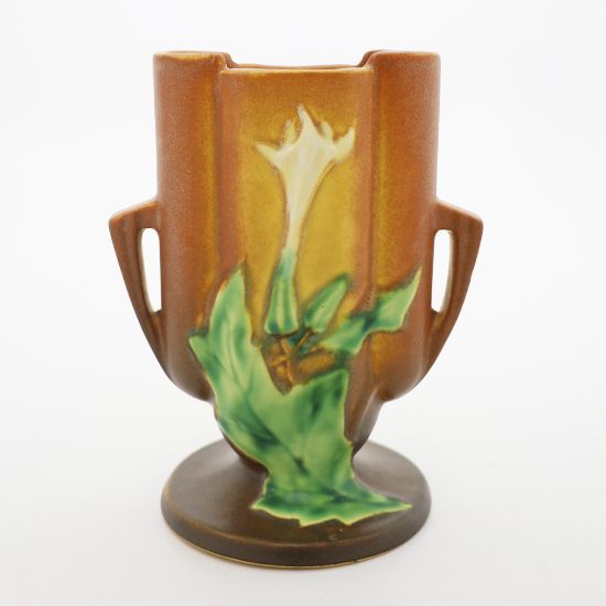 Picture of Brown Thornapple Vase