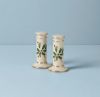 Picture of New Salt & Pepper Shaker Set