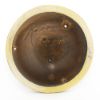 Picture of Brown Thornapple Vase
