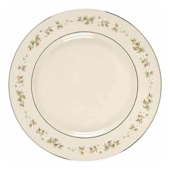 Picture of Dinner Plate