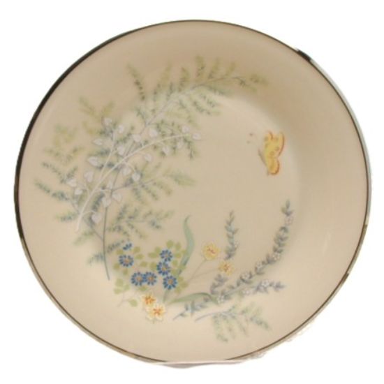 Picture of Dinner Plate