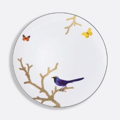 Picture of New Coupe Dinner Plate 10.6"