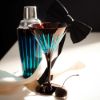 Picture of New Cocktail Shaker, Bordeaux