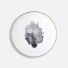 Picture of New Set of 6 Coupe Bread & Butter Plates 6.3"