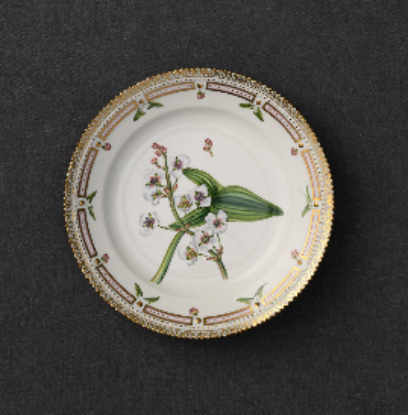 Picture of New Dinner Plate