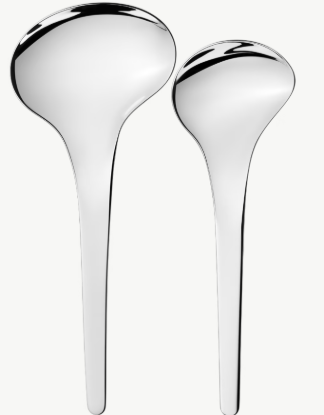 Picture of New Serving Spoons, Set of 2