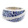 Picture of 14K White Gold Diamond & Sapphire Ring