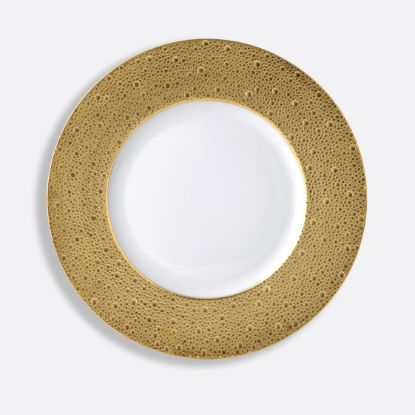 Picture of New Service Plate 11.6"
