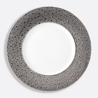 Picture of New Large Service Plate 12.5"